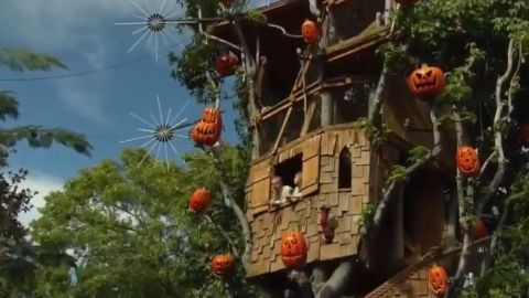 Los organizadores dentro de la casa de árbol que ya no podrá ser disfrutada.