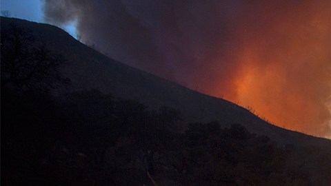 Se elevan a 40 las víctimas mortales por los incendios en California