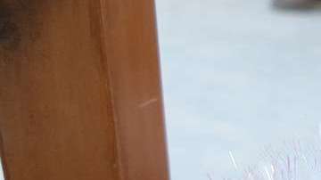 Una mujer trató de matar a su esposo con leche envenenada.