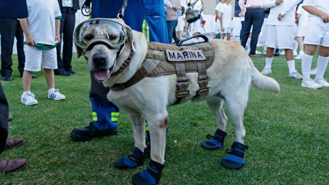 "Frida" se llevó una gran ovación en el estadio Alfonso Lastras