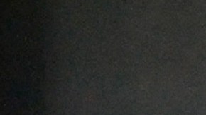 El curioso caso sucedió en el condado de Hays, Texas