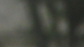 Centenares de activistas de la comunidad musulmana y pro-inmigrante marcharon frente al Hotel Trump en Washington el año pasado para denunciar la veda a inmigrantes musulmanes. Foto: María Peña/Impremedia