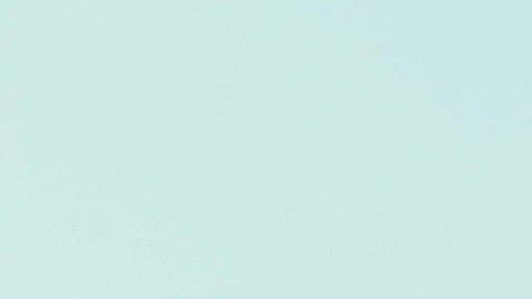 Numerosos "tepesianos" y activistas han pedido al gobierno que considere extender el TPS.