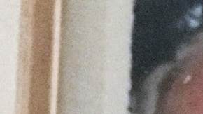 Charles and Sara Rippey vivieron felices, según sus hijos