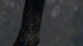 Trabajadores limpian residuos peligrosos en frente de un hogar calcinado en Glen Ellen.