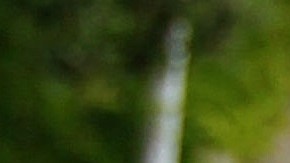 Con la firma del gobernador Jerry Brown, el proyecto de ley entrará en vigor en enero.