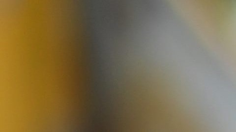 Seis de las mejores cosas que le pasaron a México en 2017