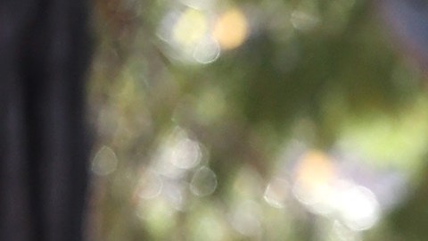 Kevin de León, presidente del Senado de California.