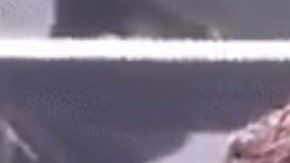 Alejandra Guzmán y Gloria Trevi.