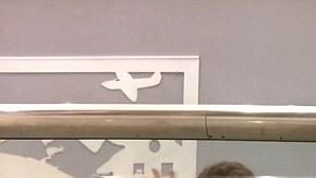 Mahshid Mazooji perdió su vuelo de conexión en el aeropuerto internacional  Charlotte Douglas.