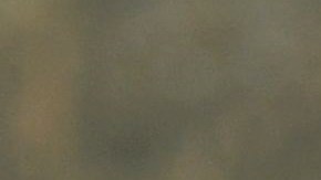 Una mujer llora al ver su hogar calcinado.