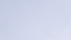 En 2008. activistas se manifestaron en Sacramento en contra de la Propuesta 8, la cual buscaba prohibir el matrimonio equitativo.