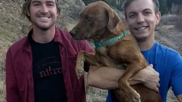 Tres excursionistas salvaron a un perro que cayó a un pozo.