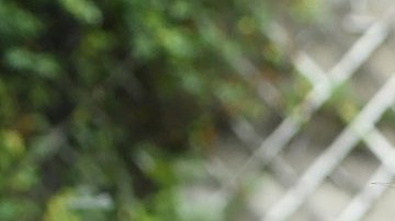 Salma Hayek y Francois-Henri Pinault