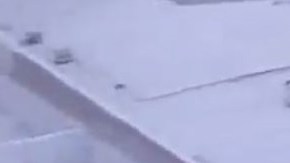 El conductor se subió a las banquetas para evadir a la policía.