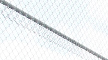 Voluntarios ayudan a plantar árboles en Highland Park.