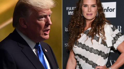 Donald Trump y Brooke Shields