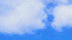 Pareja se casa en Walmart después de conocerse por un robo.