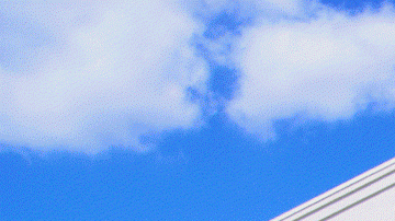 Pareja se casa en Walmart después de conocerse por un robo.