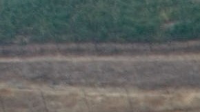 En California, los latinos representan el 71% de la fuerza laboral en los viñedos.