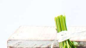 Yerbero chilango_1005512429