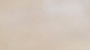 Los expertos en salud afirman que la vacuna es la mejor opción de protección.