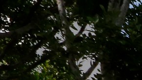 Diversas dependencias federales cerraron hace poco. / foto: Aurelia Ventura.