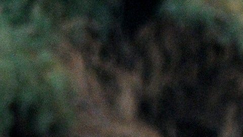 Las tumbas sin nombre de Holtville, recordatorios del peligro de la frontera.