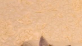 Esterilizar o castrar a tu gatito tiene beneficios para su salud.