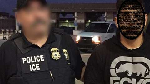 ICE mantiene sus operativos en los estados con más indocumentados.
