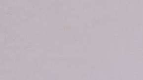 Trump y Putin se saludan en la Cumbre del la APEC en Da Nang (Vietnam). Michael Klimentyev/SPUTNIK/EFE.