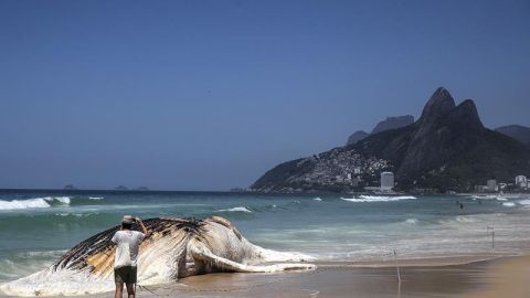 Apareció frente a la turística playa de Ipanema de Río de Janeiro. EFE