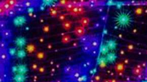 Este singular evento se llama Magic of Lights y se hará hasta el 31 de diciembre.