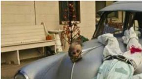 befunky-collage-1-1024x512