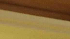 El alcalde De Blasio y Kushner han tenido una buena relación.