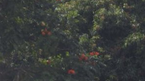 La pericia del piloto salvó a los pasajeros.