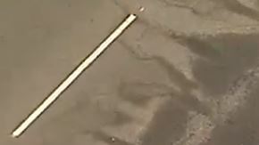 La palmera fue derribada y atravesó el compartimiento del pasajero