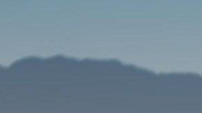 Cheetah vs Formula E