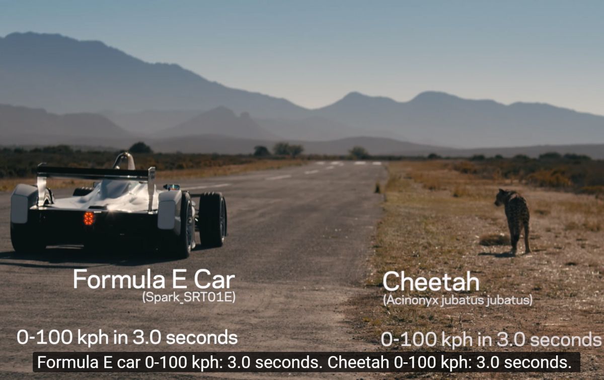 Cheetah vs Formula E
