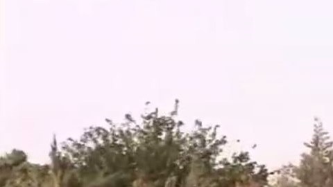 Los agentes del Departamento del Sheriff de Los Ángeles batallaron para capturar al agresor.