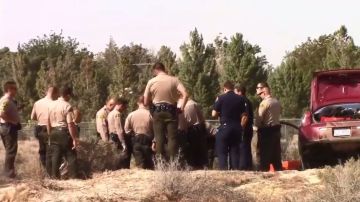 Los agentes del Departamento del Sheriff de Los Ángeles batallaron para capturar al agresor.