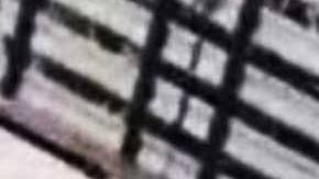 Las bicicletas estaban escondidas en un túnel y presuntamente la mayoría fueron robadas.