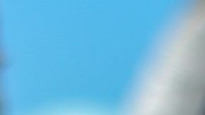 Nada contiene la violencia en México. Getty