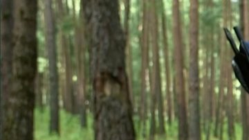 Rafael Amaya es Aurelio Casillas en "El Señor de los Cielos"