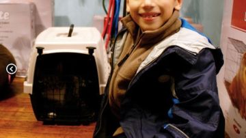 Evan es un niño de 10 años que dona su paga a una ONG que protege gatitos abandonados.