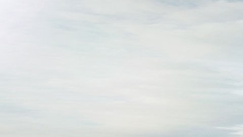 Trump Ocean Club en Panamá habría sido usado para lavar dinero de narcotraficantes