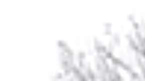 La Policía implementó un operativo.