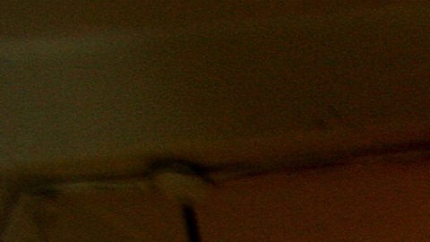 Algunos de los puestos han sido parte del mercado por varias décadas.