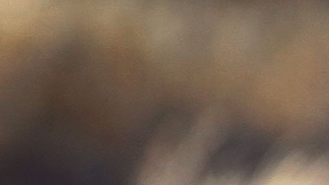 Detenido el pasado 12 de febrero por agentes de la migra bajo sospechas de tráfico de indocumentados cuando hacía un servicio de Uber