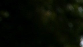 Napa Area Businesses Continue Recovery Effort From Earthquake